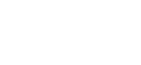 LIVER MANAGEMENT 321 INC.